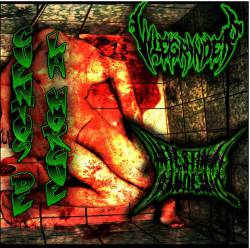 Vile Grinder : Cuentos de la Morgue